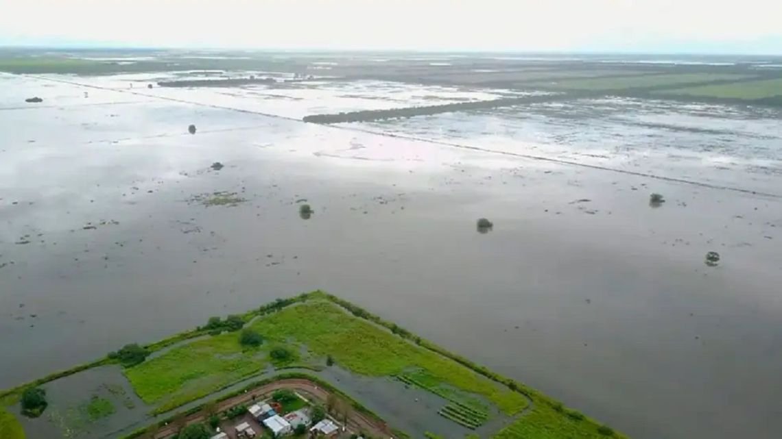 Inundaciones en la provincia de Buenos Aires: declaran la emergencia agropecuaria en 9 de Julio y parte de Necochea