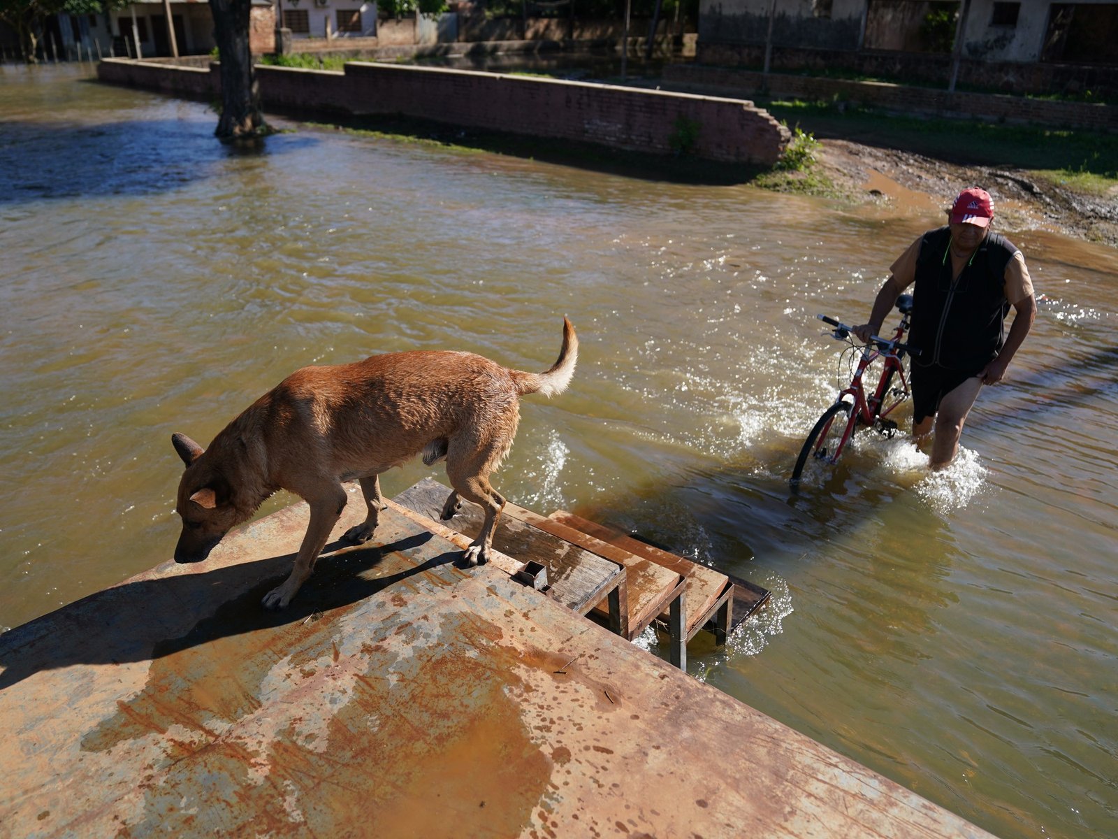 Súper Niño 2026 en Argentina, EN VIVO: qué ciudades están en riesgo de inundación y cuándo llega el pico de la crecida