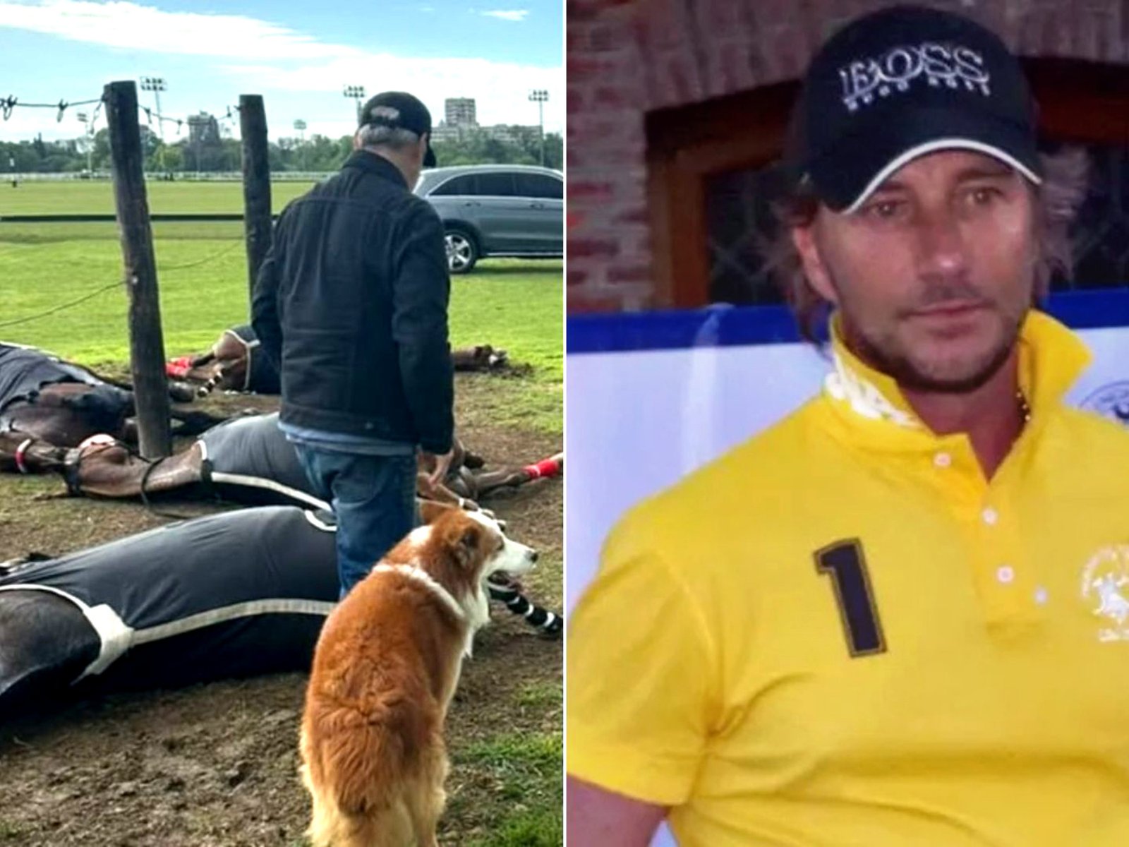 Un empresario del mundo de las finanzas, el dueño de los cuatro caballos a los que mató un rayo en el Jockey Club de San Isidro