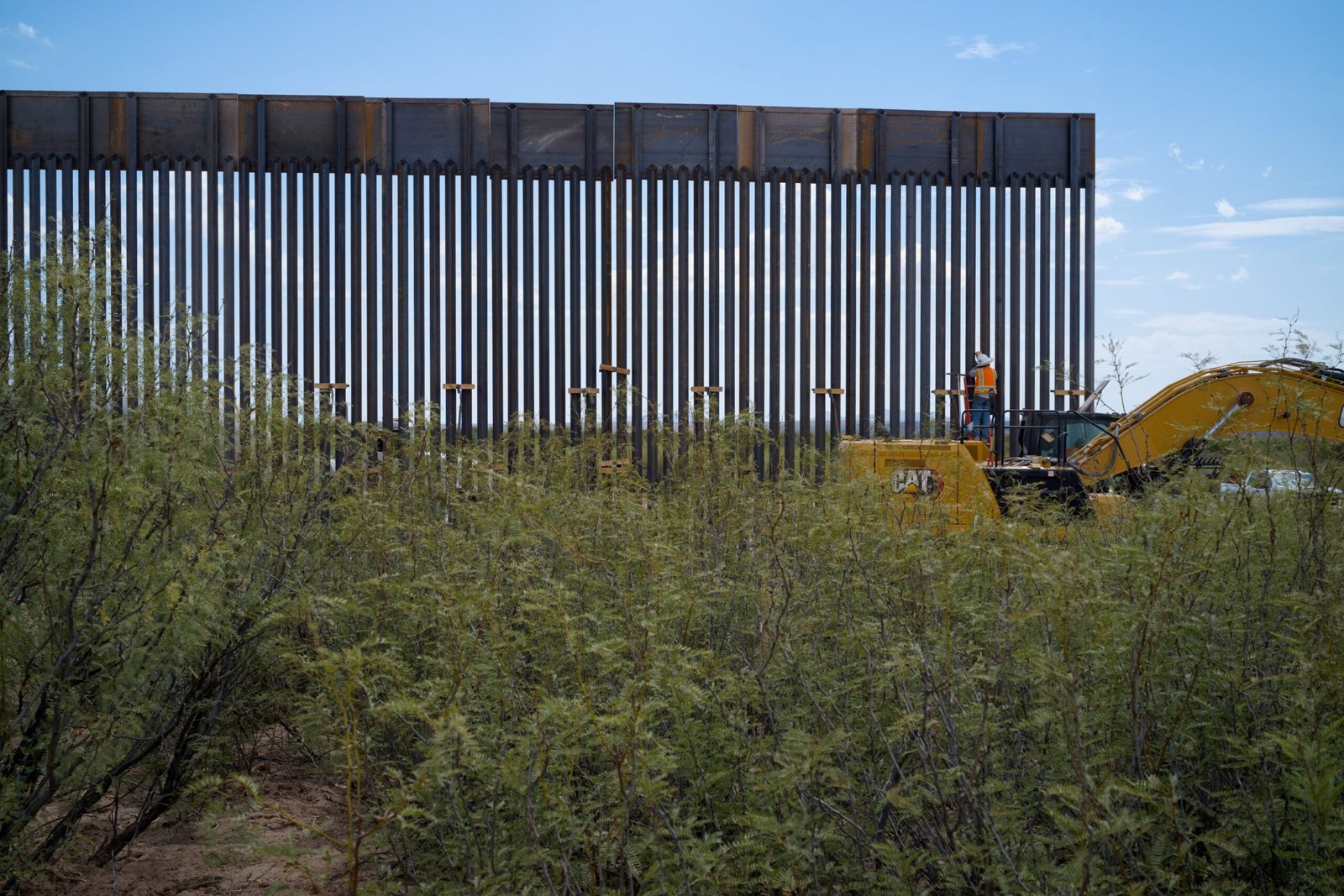 Una jueza federal paraliza la construcción del muro fronterizo de Trump en el Parque Nacional Big Bend y alrededores