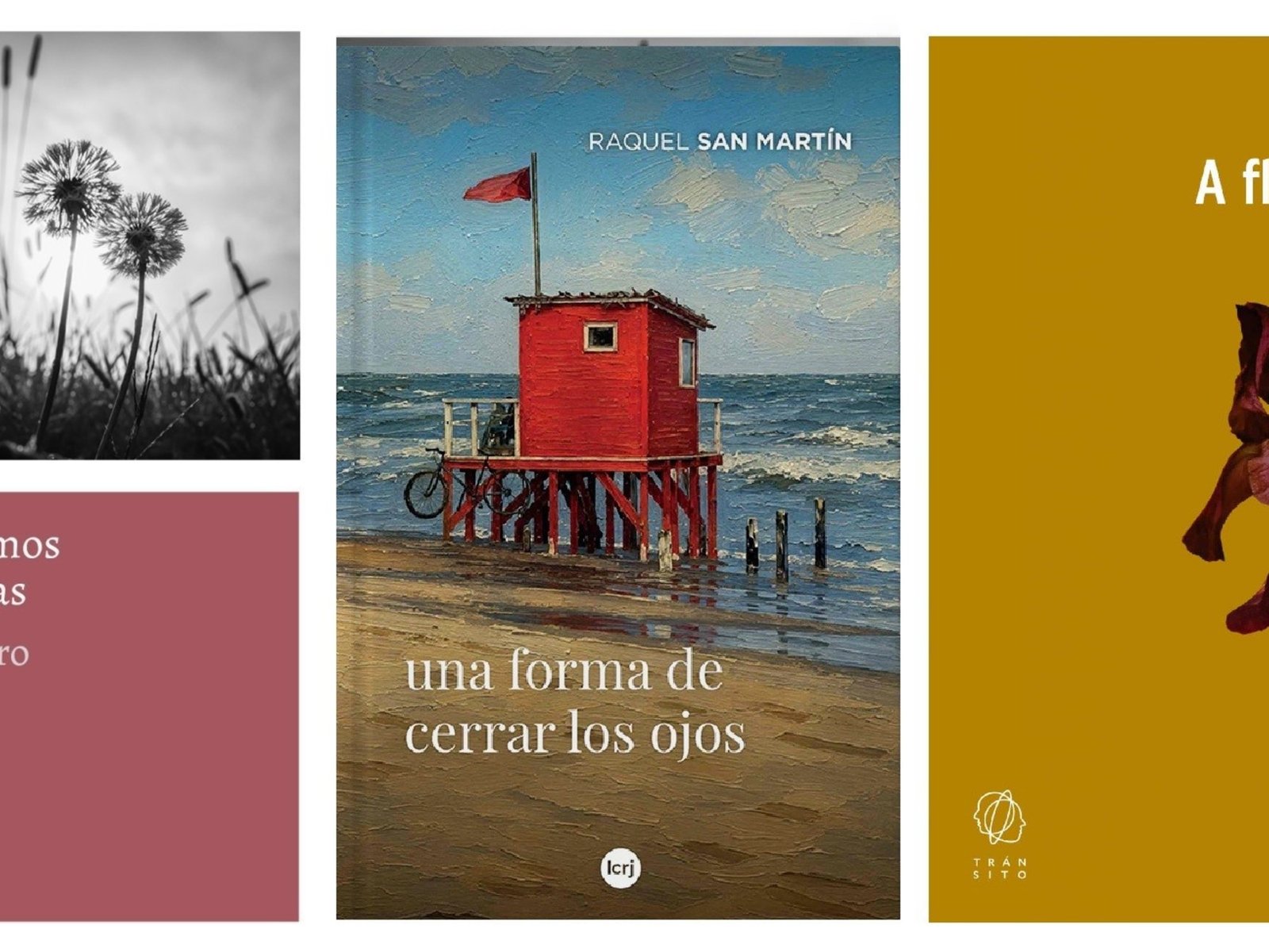 los libros que rompen el ideal
